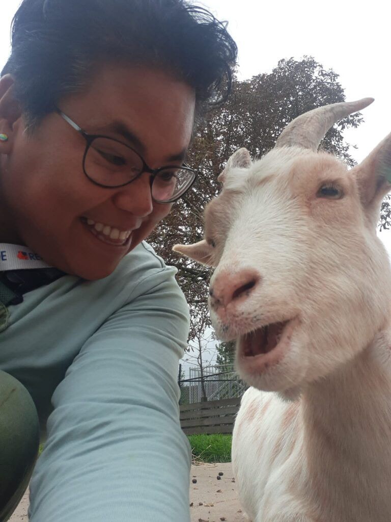 Reinaerde kinderboerderij IJsselstee