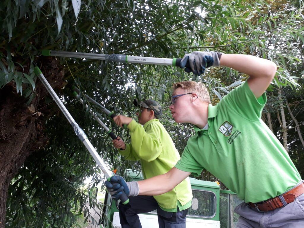 Reinaerde groendiensten Kameryck – kinderboerderij Oortjespad