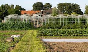 Zorgboerderij – De Hondspol
