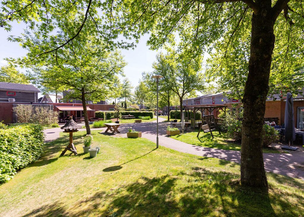 Alliade – Himsterhout