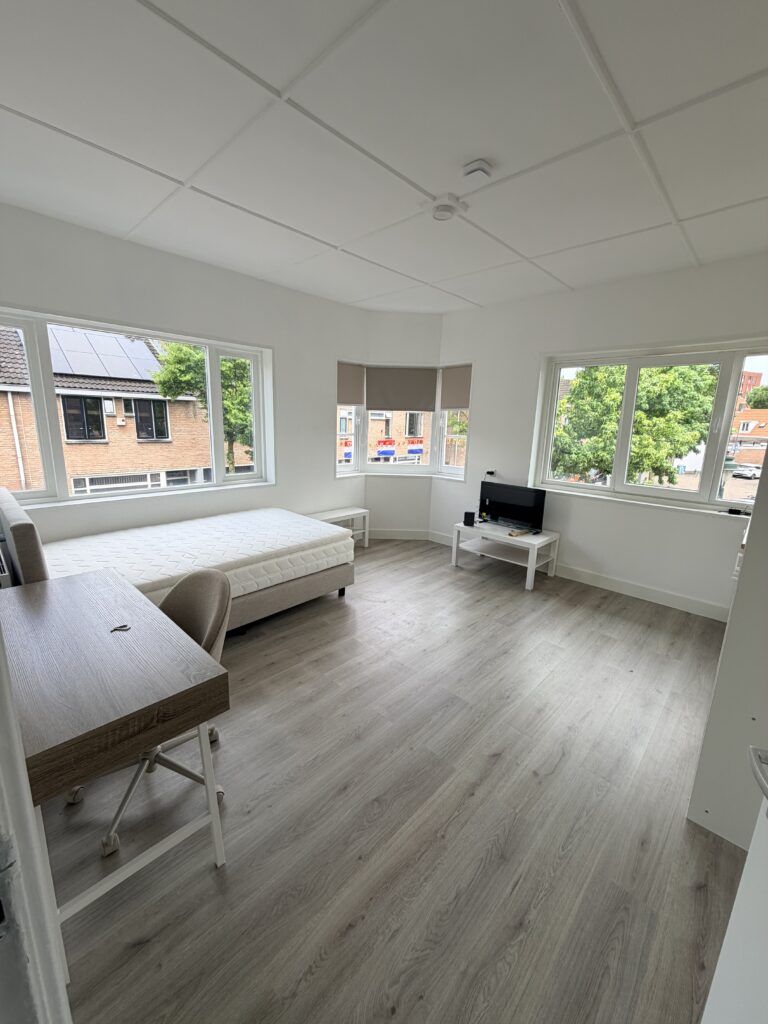 Nieuwe Horizon