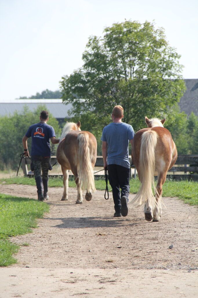 Dagbesteding de Hultenhoek
