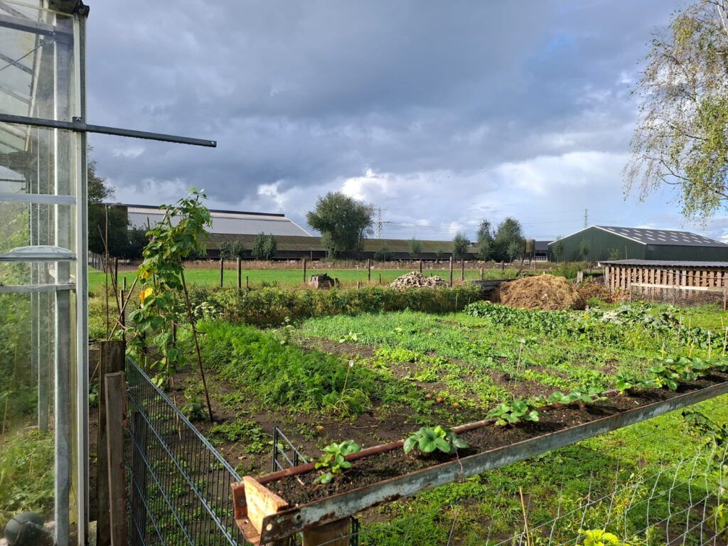 Dagbesteding zorgboerderij